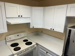 Photo #3: PTP2403336 Listing