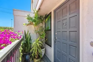 Photo #2: PTP2403974 Listing 