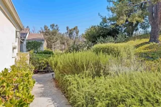 Photo #3: PTP2404075 Listing 