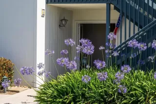 Photo #2: PTP2404805 Listing