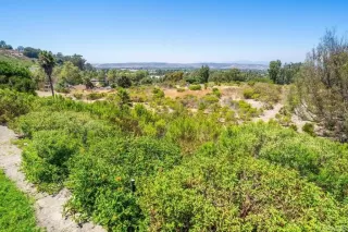 Photo #6: PTP2404926 Listing