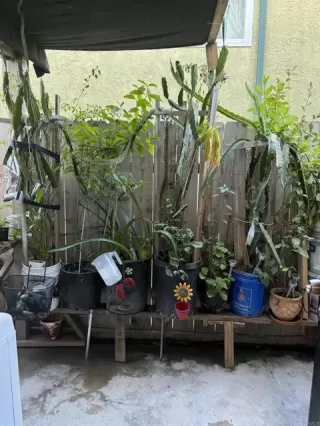 Photo #4: PTP2405227 Listing