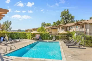 Photo #3: PTP2405738 Listing 