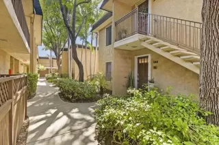 Photo #1: PTP2406010 Listing 