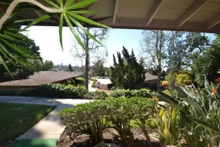 Photo #1: PTP2406487 Listing 