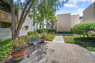 Photo #1: PTP2406581 Listing