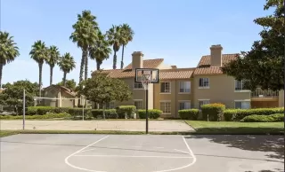 Photo #3: PTP2407151 Listing