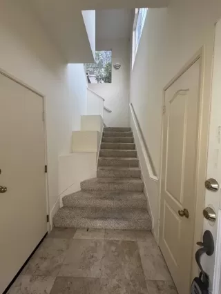 Photo #1: PTP2407536 Listing