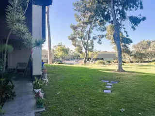 Photo #3: PTP2407621 Listing