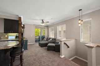 Photo #3: PTP2500330 Listing 