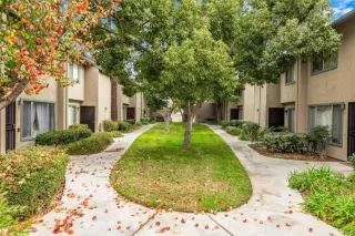 Photo #4: PTP2500729 Listing