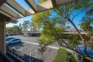 Photo #4: PTP2500767 Listing