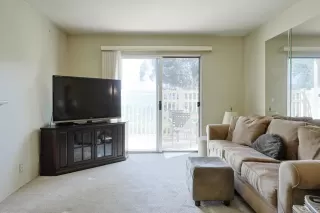 Photo #2: PTP2501197 Listing