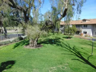 More Details about MLS # PTP2501456 : 4095 BONITA ROAD UNIT 229