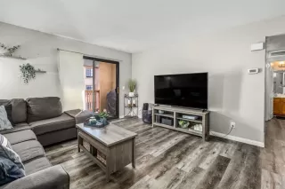 Photo #1: PTP2501973 Listing 