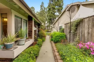 Photo #2: PTP2502210 Listing 