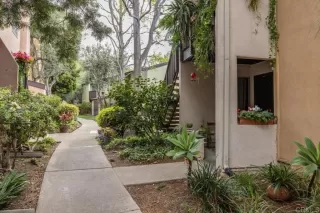 Photo #1: PTP2502333 Listing