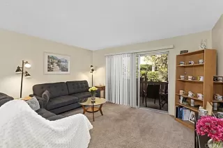 Photo #2: PTP2502392 Listing