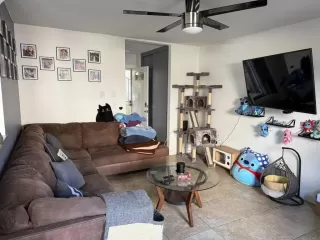 Photo #3: PTP2502550 Listing