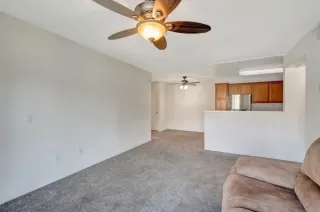 Photo #6: PTP2502620 Listing