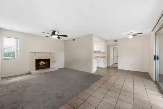 Photo #1: PTP2502666 Listing