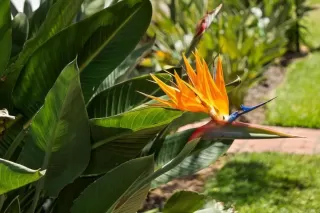 Photo #3: PTP2502755 Listing