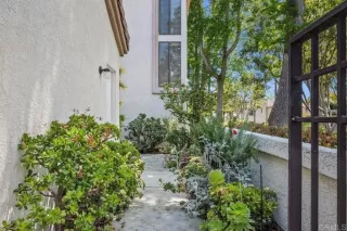 Photo #3: PTP2502841 Listing 