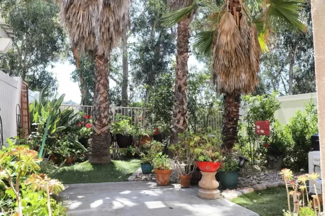 MLS: PTP2502938 Condo For Sale