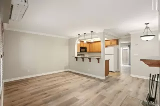 Photo #3: PTP2503015 Listing 