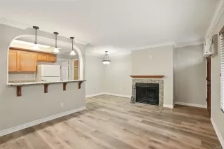 Photo #4: PTP2503015 Listing 