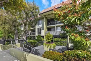 Photo #1: PTP2503056 Listing