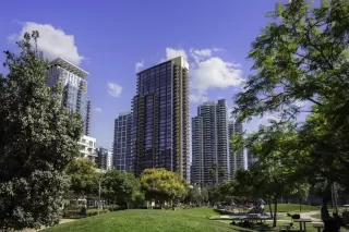 Photo #1: PTP2503130 Listing