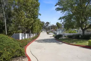 Photo #2: PTP2503206 Listing 