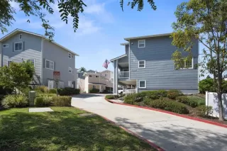 Photo #3: PTP2503206 Listing 