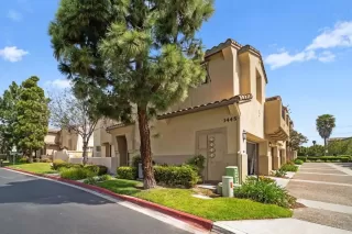 Photo #2: PTP2503226 Listing