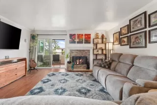 Photo #1: PTP2503300 Listing