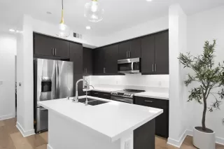 Photo #4: PTP2503711 Listing