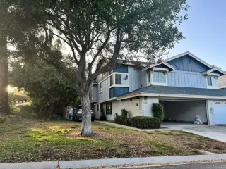 Photo #2: PTP2503811 Listing 