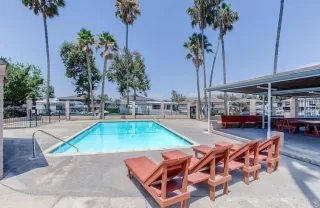 Photo #4: PTP2503924 Listing