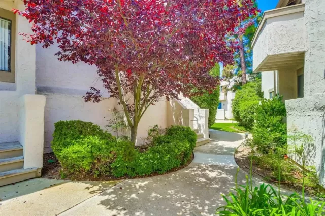 MLS: PTP2504034 Condo For Sale