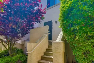 Photo #1: PTP2504034 Listing