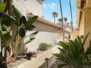 Photo #1: PTP2504084 Listing 