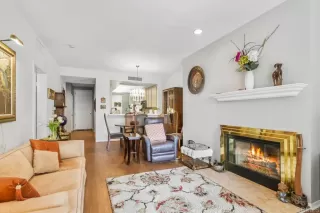 Photo #5: PTP2504126 Listing 