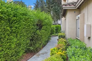 Photo #3: PTP2504182 Listing 