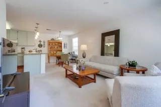 Photo #2: PTP2504187 Listing 