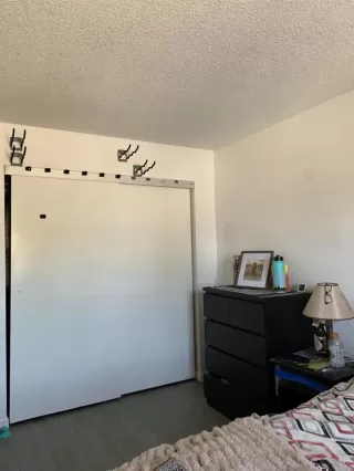 Photo #5: PTP2504241 Listing