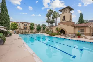 Photo #2: PTP2504269 Listing 