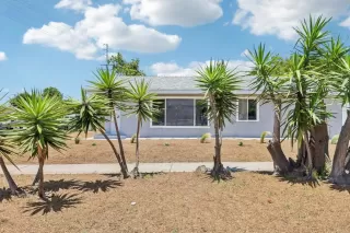 Photo #1: PTP2504314 Listing