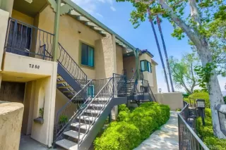 Photo #1: PTP2504359 Listing