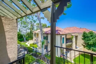 Photo #5: PTP2504359 Listing